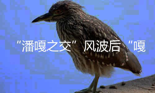 孟伟风波封带货嘎之嘎子谢后潘直播再被交